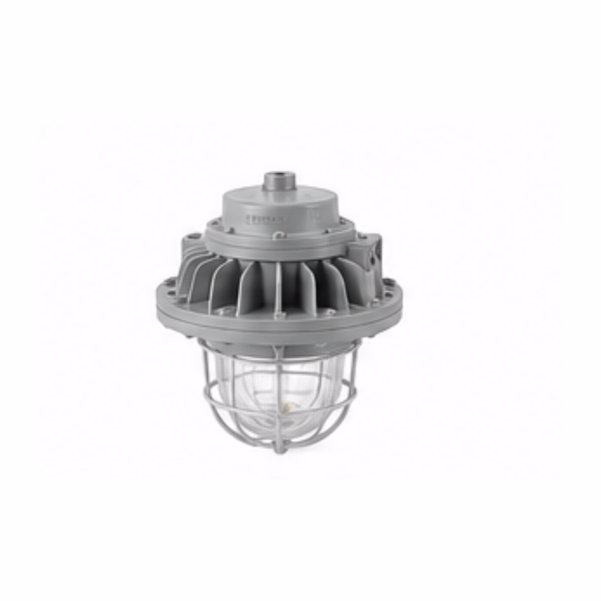 explosion-proof-industrial-light-fixture-heavy-duty-globe-light