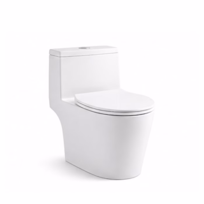 One-Piece Floor-Mounted Toilet