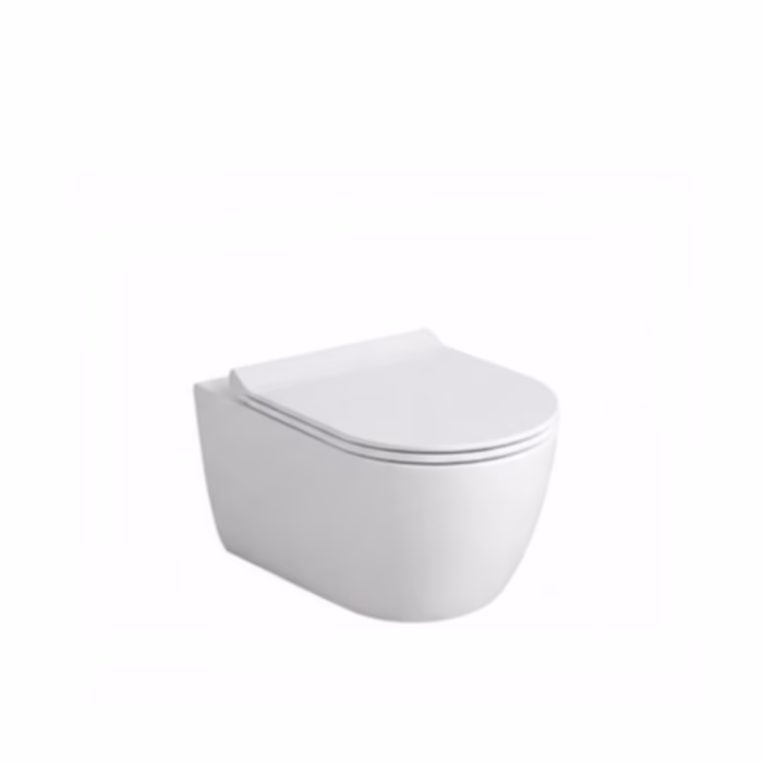 Wall-Hung Toilet Bowl