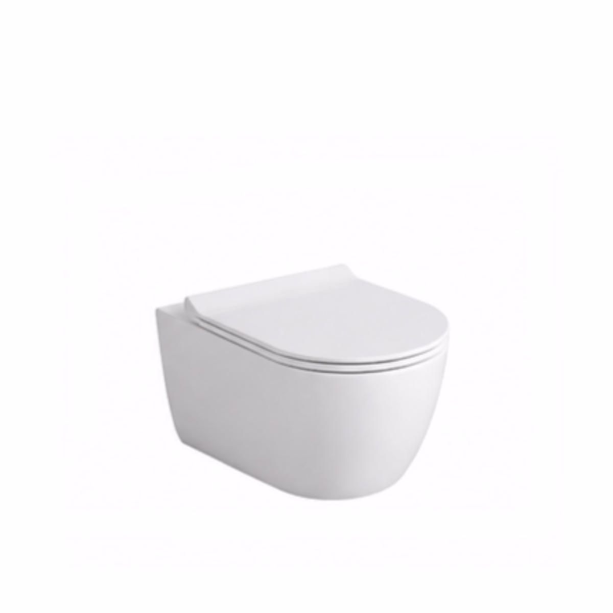 wall-hung-toilet-bowl
