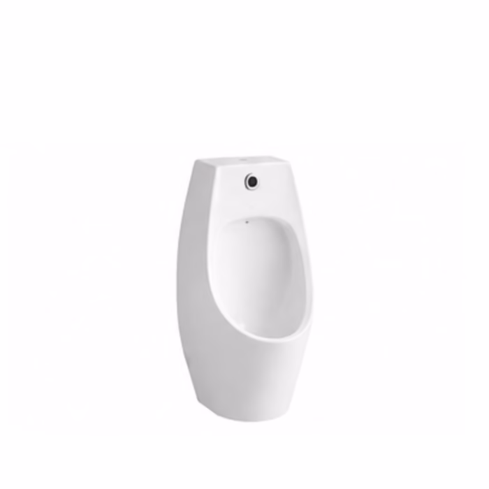 Wall-Mounted Urinal with Automatic Sensor